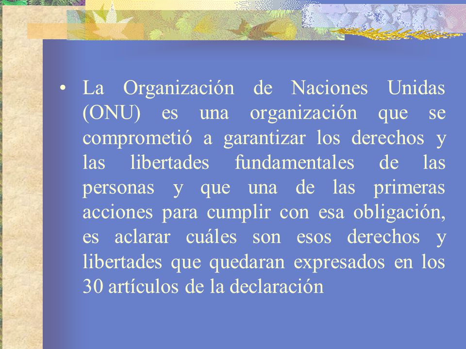 La Organización de Naciones Unidas (ONU) es una organización que se comprometió a garantizar los derechos y las libertades fundamentales de las personas y que una de las primeras acciones para cumplir con esa obligación, es aclarar cuáles son esos derechos y libertades que quedaran expresados en los 30 artículos de la declaración