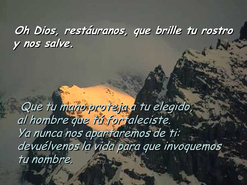 Oh Dios, restáuranos, que brille tu rostro y nos salve.