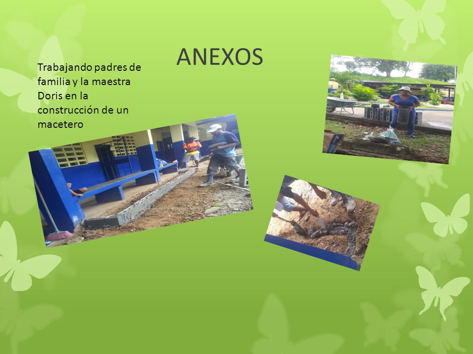 ANEXOS Trabajando padres de familia y la maestra Doris en la construcción de un macetero