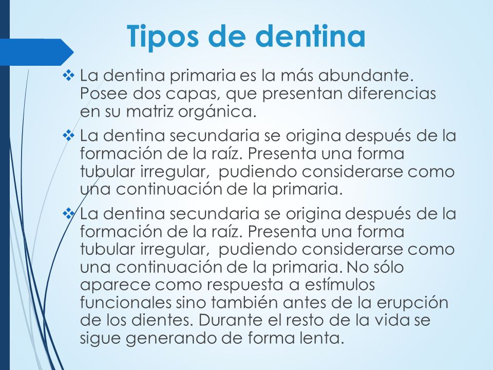 Tipos de dentina La dentina primaria es la más abundante. Posee dos capas, que presentan diferencias en su matriz orgánica.