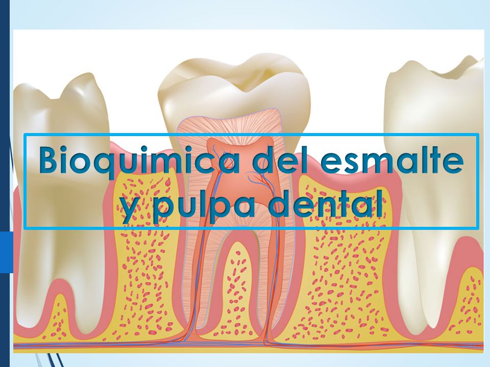 Bioquimica del esmalte y pulpa dental