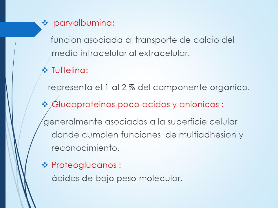 parvalbumina: funcion asociada al transporte de calcio del medio intracelular al extracelular. Tuftelina: