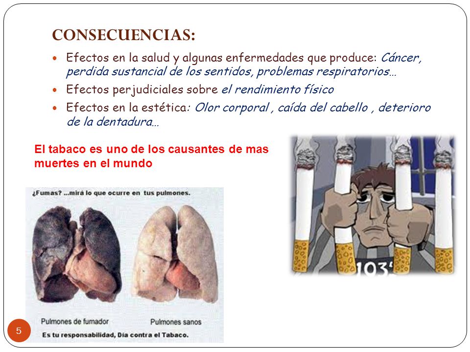 CONSECUENCIAS: Efectos en la salud y algunas enfermedades que produce: Cáncer, perdida sustancial de los sentidos, problemas respiratorios…