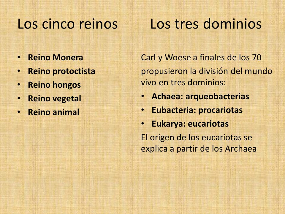 Los cinco reinos Los tres dominios Reino Monera Reino protoctista