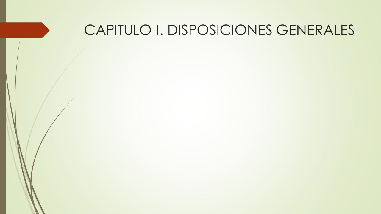 CAPITULO I. DISPOSICIONES GENERALES