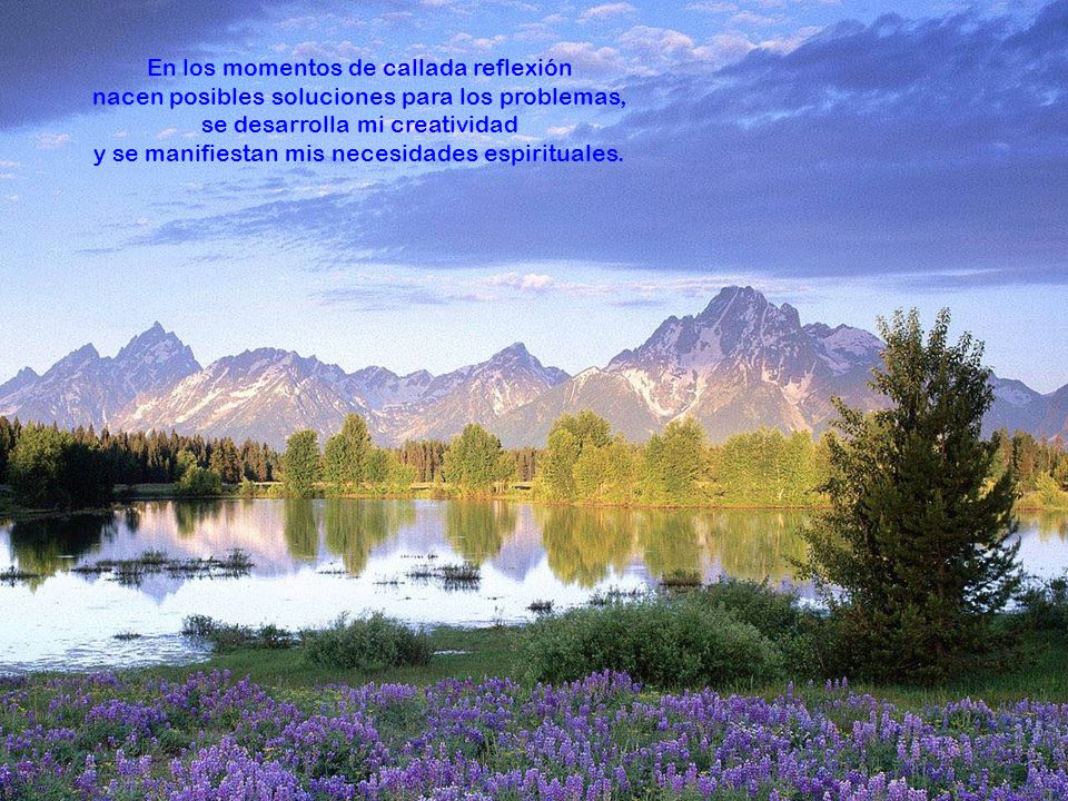 En los momentos de callada reflexión nacen posibles soluciones para los problemas, se desarrolla mi creatividad y se manifiestan mis necesidades espirituales.