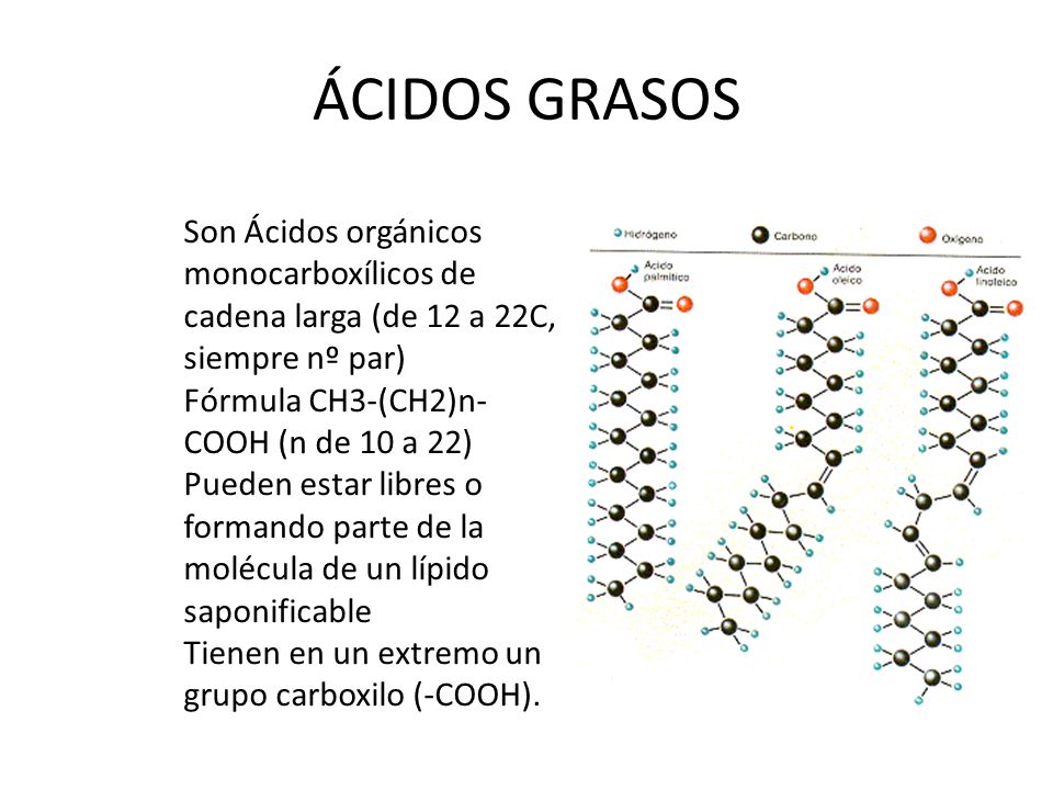 ÁCIDOS GRASOS Son Ácidos orgánicos monocarboxílicos de cadena larga (de 12 a 22C, siempre nº par) Fórmula CH3-(CH2)n-COOH (n de 10 a 22)
