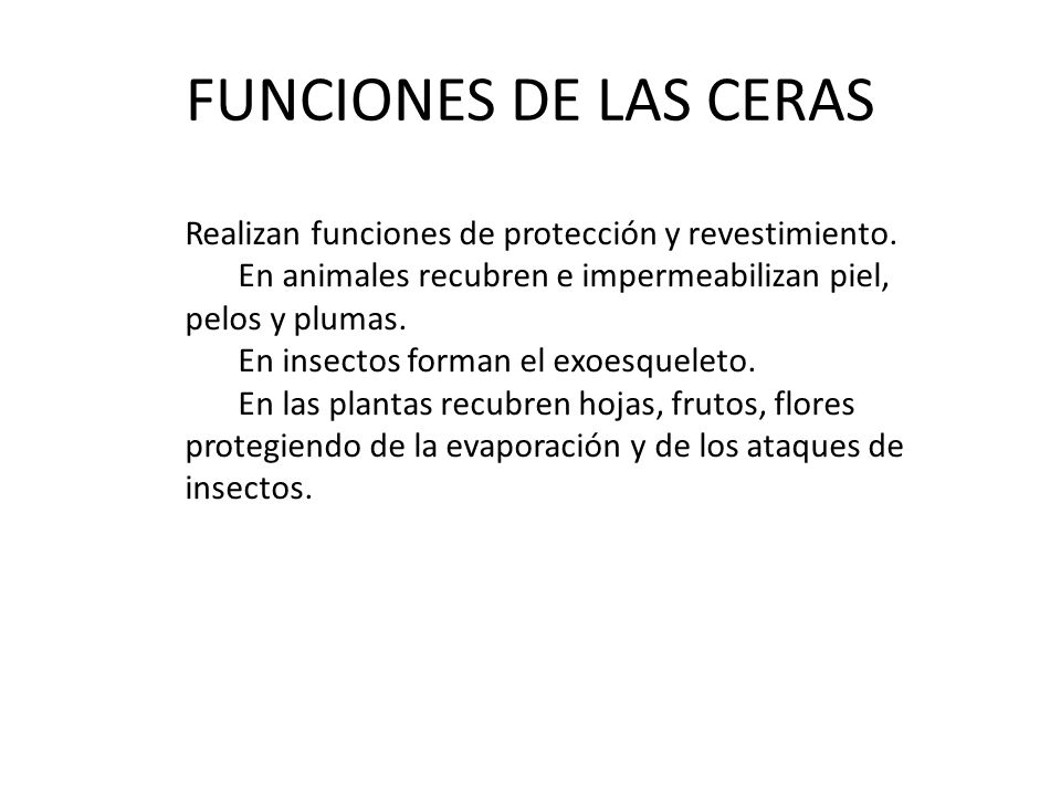 FUNCIONES DE LAS CERAS Realizan funciones de protección y revestimiento. En animales recubren e impermeabilizan piel, pelos y plumas.
