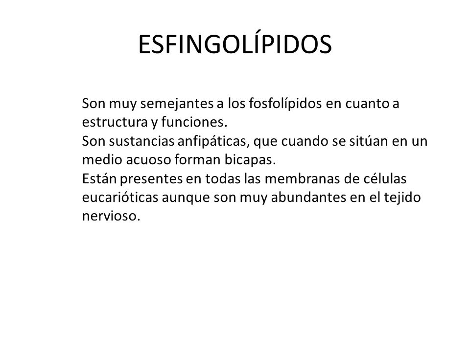 ESFINGOLÍPIDOS Son muy semejantes a los fosfolípidos en cuanto a estructura y funciones.
