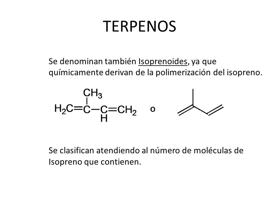 TERPENOS Se denominan también Isoprenoides, ya que químicamente derivan de la polimerización del isopreno.