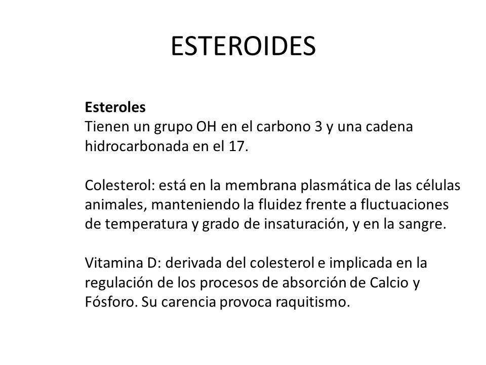 ESTEROIDES Esteroles. Tienen un grupo OH en el carbono 3 y una cadena hidrocarbonada en el 17.