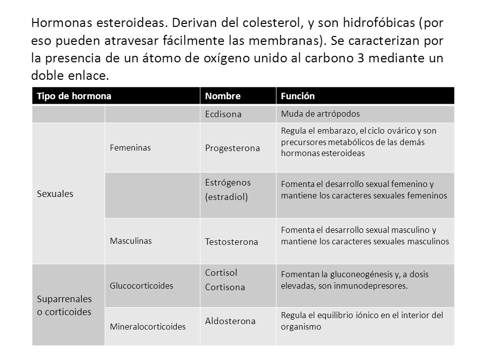 Hormonas esteroideas. Derivan del colesterol, y son hidrofóbicas (por eso pueden atravesar fácilmente las membranas). Se caracterizan por la presencia de un átomo de oxígeno unido al carbono 3 mediante un doble enlace.