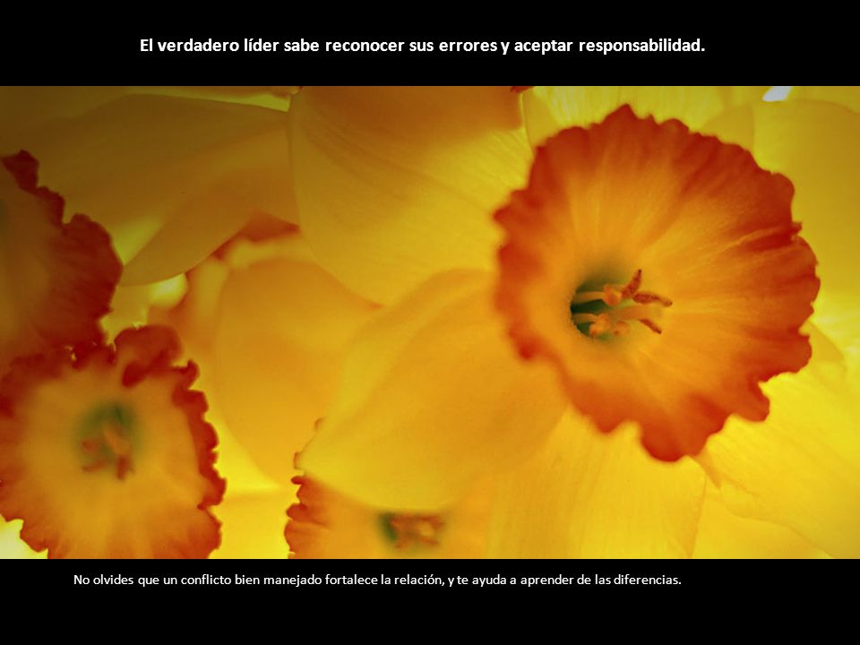 El verdadero líder sabe reconocer sus errores y aceptar responsabilidad.