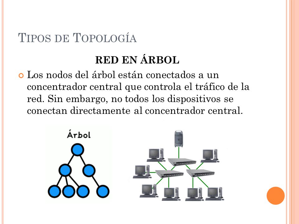 Tipos de Topología RED EN ÁRBOL