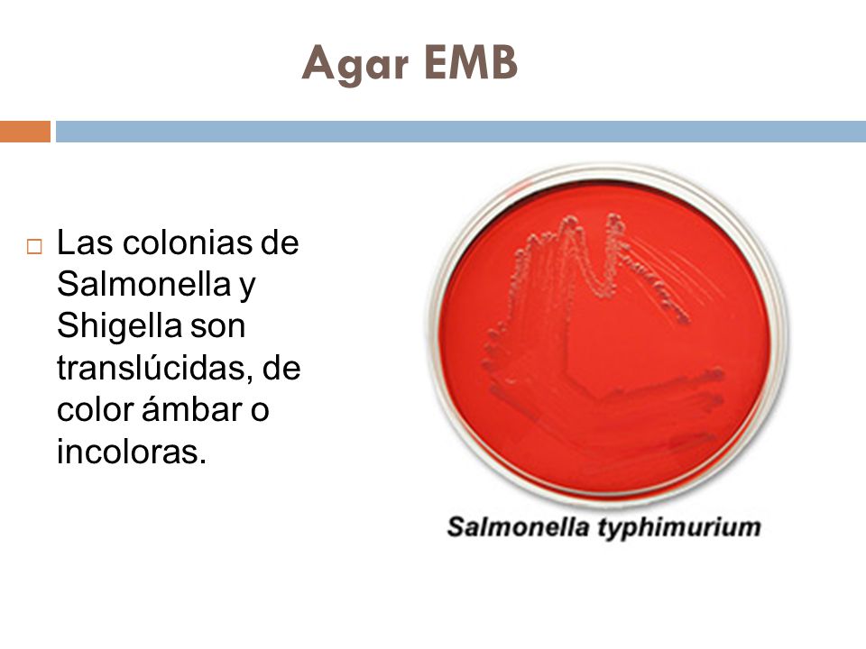Agar EMB Las colonias de Salmonella y Shigella son translúcidas, de color ámbar o incoloras.