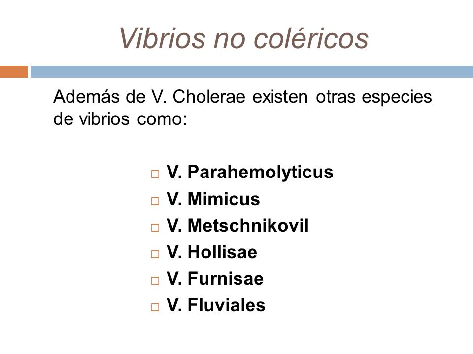 Vibrios no coléricos Además de V. Cholerae existen otras especies de vibrios como: V. Parahemolyticus.