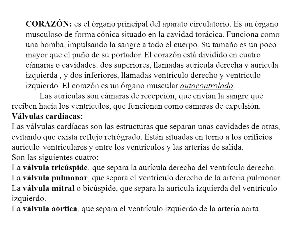 CORAZÓN: es el órgano principal del aparato circulatorio