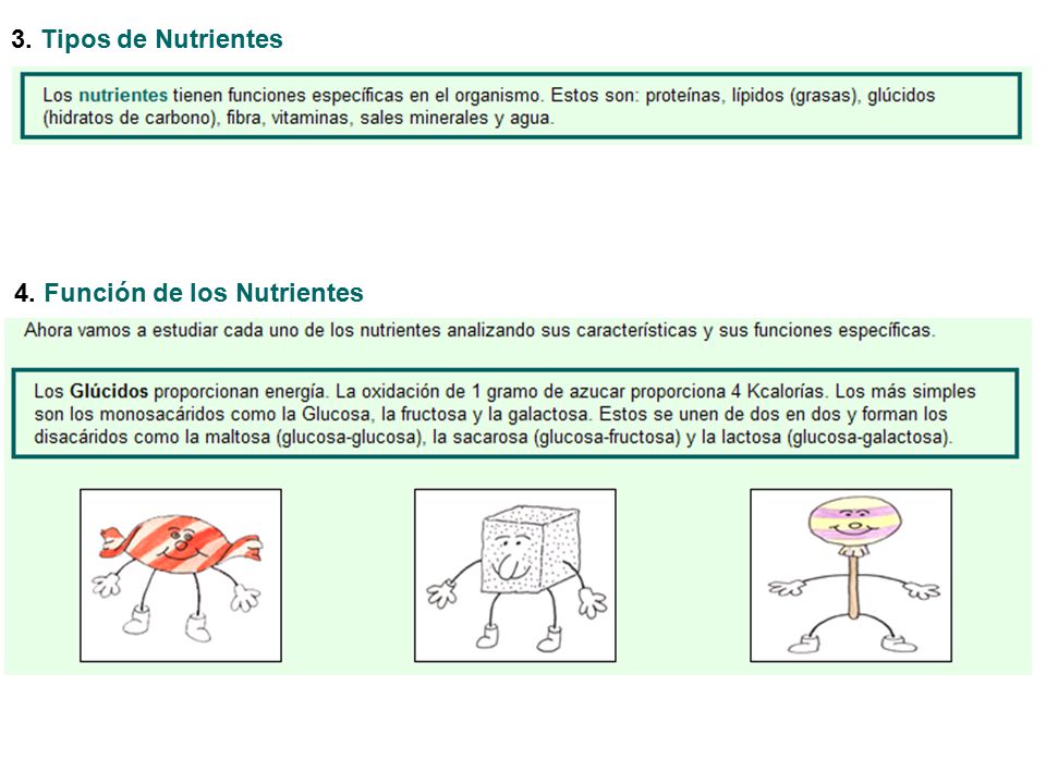 3. Tipos de Nutrientes 4. Función de los Nutrientes