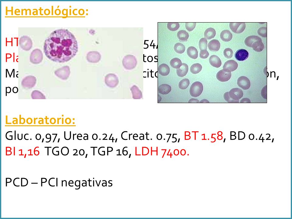 Hematológico: HTO 12%, GB 2600 ( C 2,S54,L 36,M4, Mi 4) Plaquetas 90