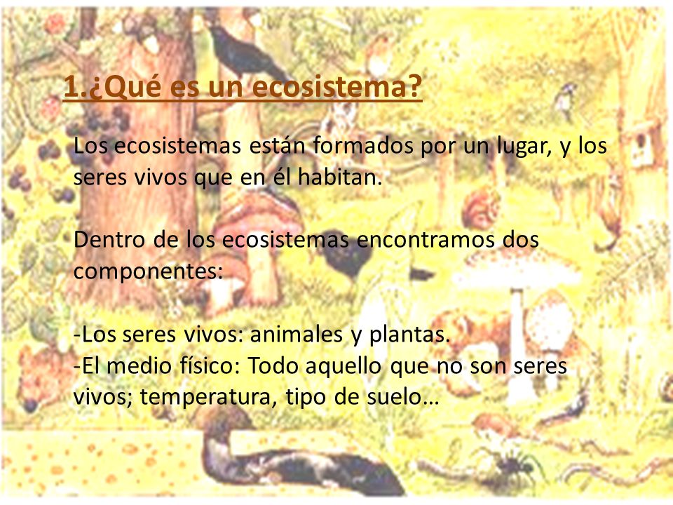 1.¿Qué es un ecosistema Los ecosistemas están formados por un lugar, y los seres vivos que en él habitan.