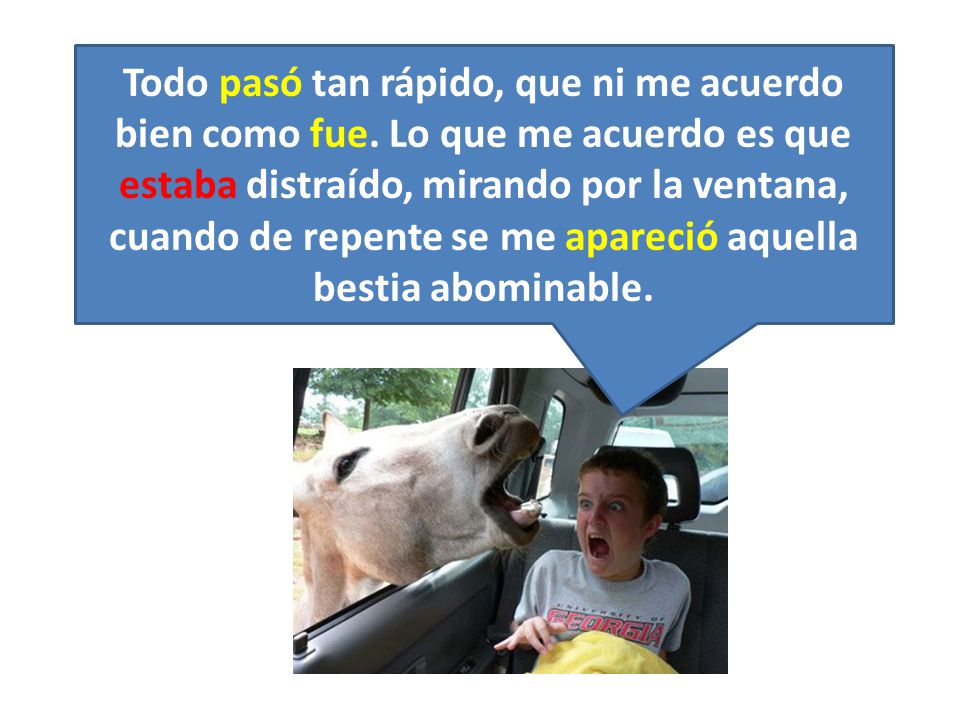 Todo pasó tan rápido, que ni me acuerdo bien como fue