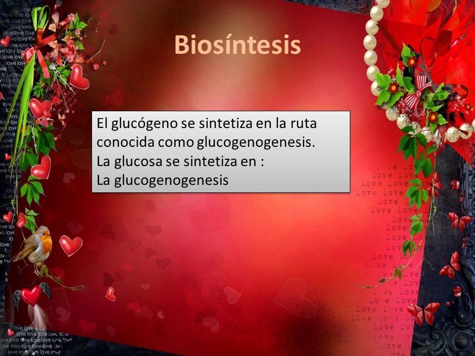 Biosíntesis El glucógeno se sintetiza en la ruta conocida como glucogenogenesis.