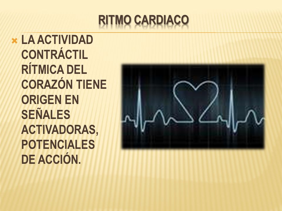 RITMO CARDIACO LA ACTIVIDAD CONTRÁCTIL RÍTMICA DEL CORAZÓN TIENE ORIGEN EN SEÑALES ACTIVADORAS, POTENCIALES DE ACCIÓN.