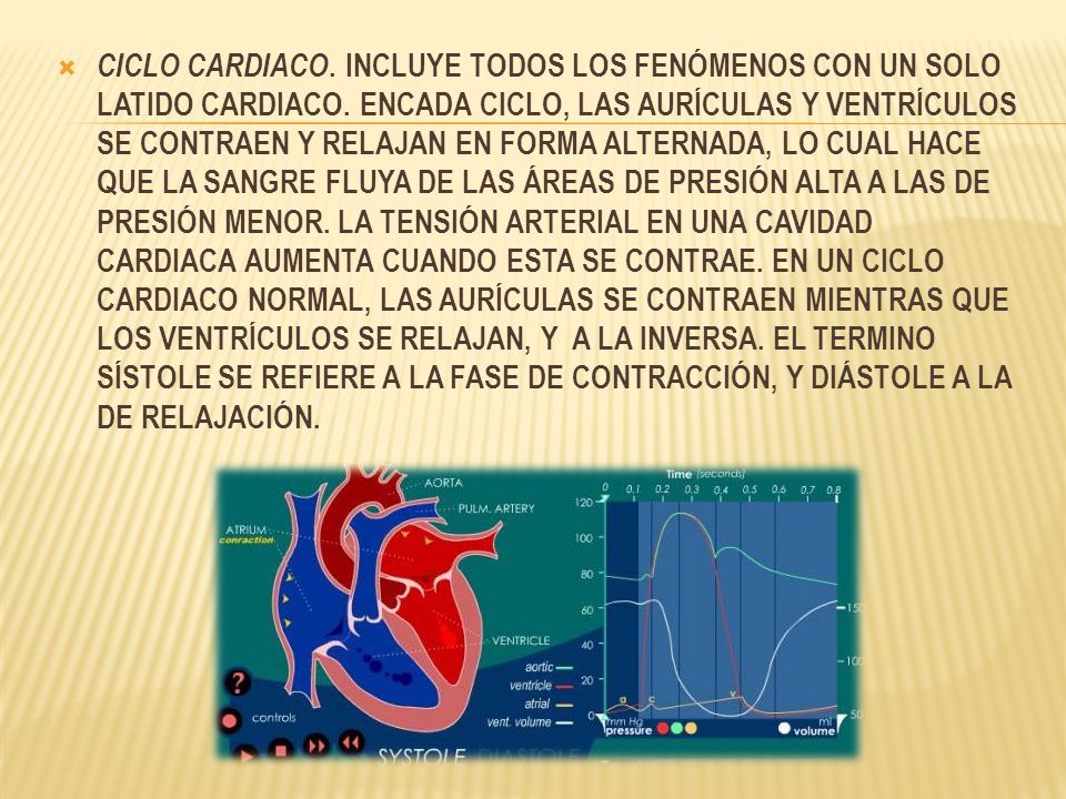 CICLO CARDIACO. INCLUYE TODOS LOS FENÓMENOS CON UN SOLO LATIDO CARDIACO.