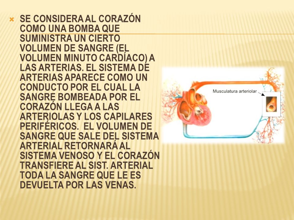 SE CONSIDERA AL CORAZÓN COMO UNA BOMBA QUE SUMINISTRA UN CIERTO VOLUMEN DE SANGRE (EL VOLUMEN MINUTO CARDÍACO) A LAS ARTERIAS.