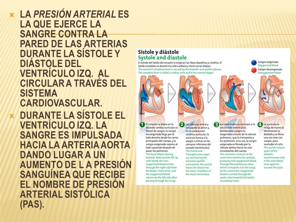 LA PRESIÓN ARTERIAL ES LA QUE EJERCE LA SANGRE CONTRA LA PARED DE LAS ARTERIAS DURANTE LA SÍSTOLE Y DIÁSTOLE DEL VENTRÍCULO IZQ. AL CIRCULAR A TRAVÉS DEL SISTEMA CARDIOVASCULAR.