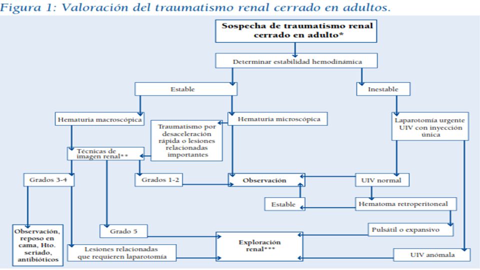 * Sospecha de traumatismo renal a raíz del mecanismo traumático referido