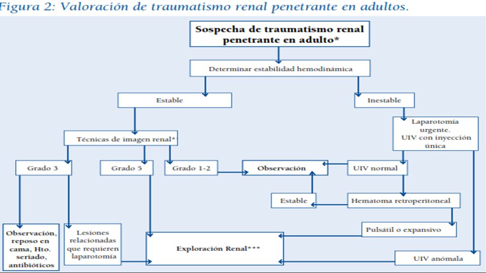 * Sospecha de traumatismo renal a raíz del mecanismo traumático referido