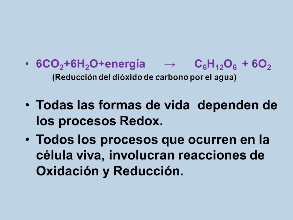 Todas las formas de vida dependen de los procesos Redox.