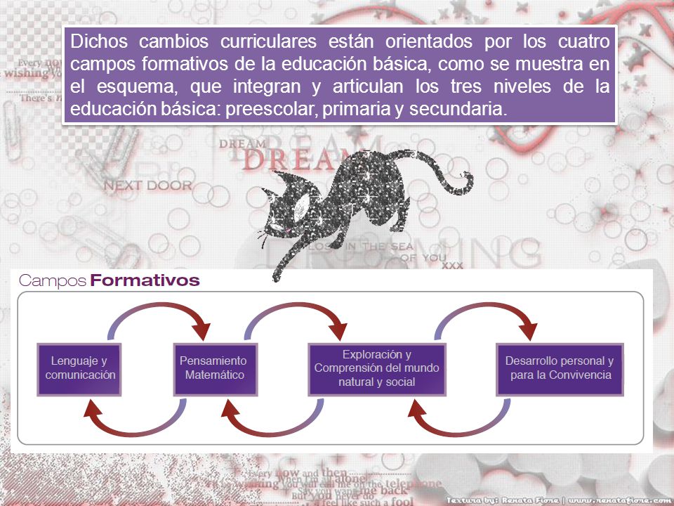 Dichos cambios curriculares están orientados por los cuatro campos formativos de la educación básica, como se muestra en el esquema, que integran y articulan los tres niveles de la educación básica: preescolar, primaria y secundaria.