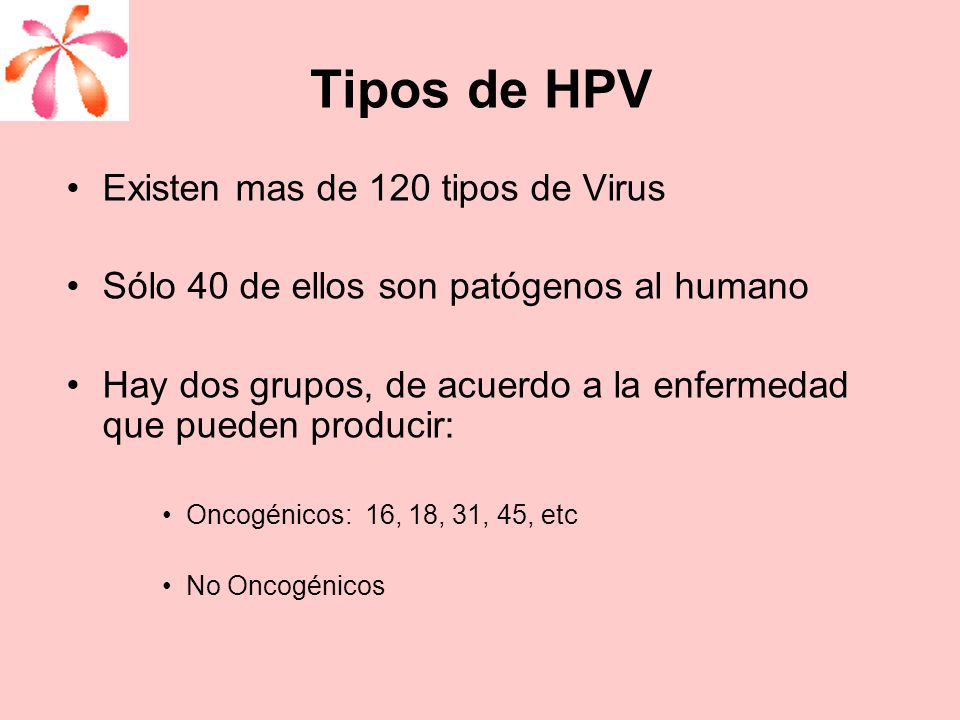 Tipos de HPV Existen mas de 120 tipos de Virus