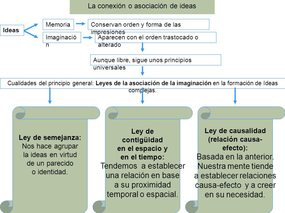 a establecer relaciones causa-efecto y a creer en su necesidad.