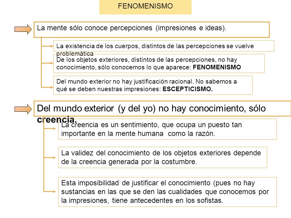 Del mundo exterior (y del yo) no hay conocimiento, sólo creencia.