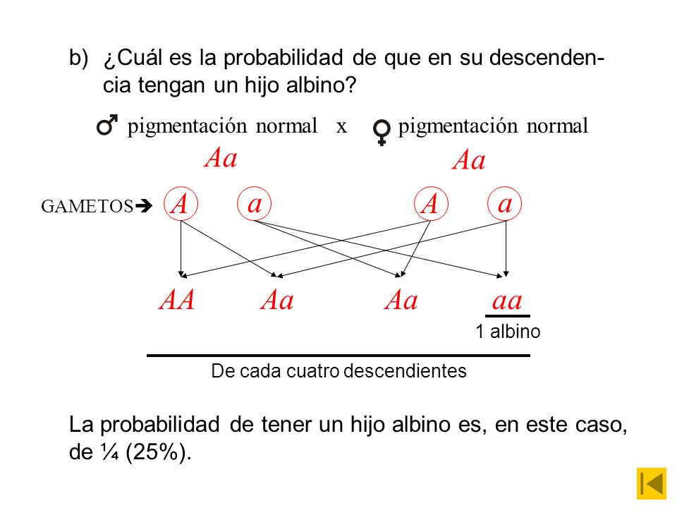 ¿Cuál es la probabilidad de que en su descenden-cia tengan un hijo albino