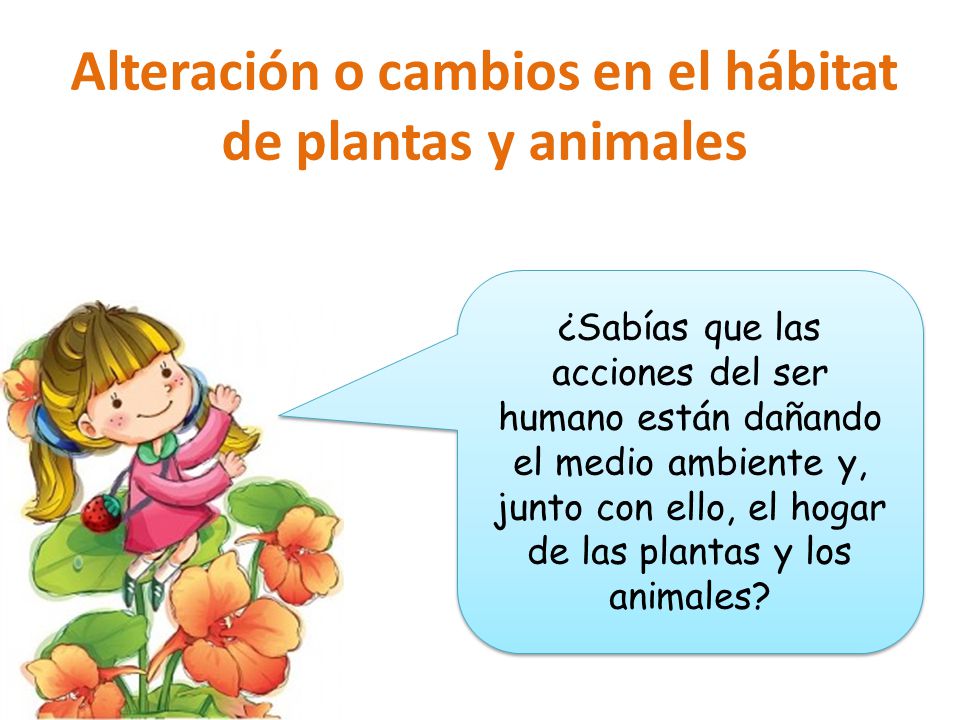 Alteración o cambios en el hábitat de plantas y animales