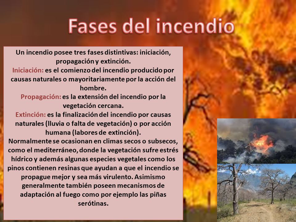 Propagación: es la extensión del incendio por la vegetación cercana.