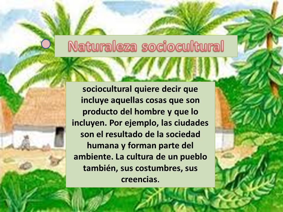 Naturaleza sociocultural