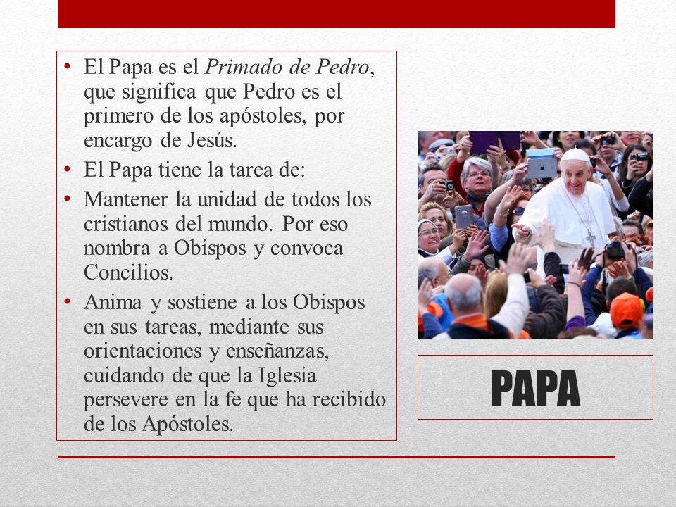 El Papa es el Primado de Pedro, que significa que Pedro es el primero de los apóstoles, por encargo de Jesús.