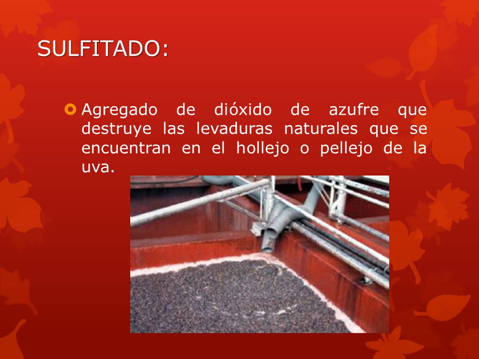 SULFITADO: Agregado de dióxido de azufre que destruye las levaduras naturales que se encuentran en el hollejo o pellejo de la uva.