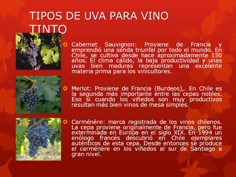 TIPOS DE UVA PARA VINO TINTO