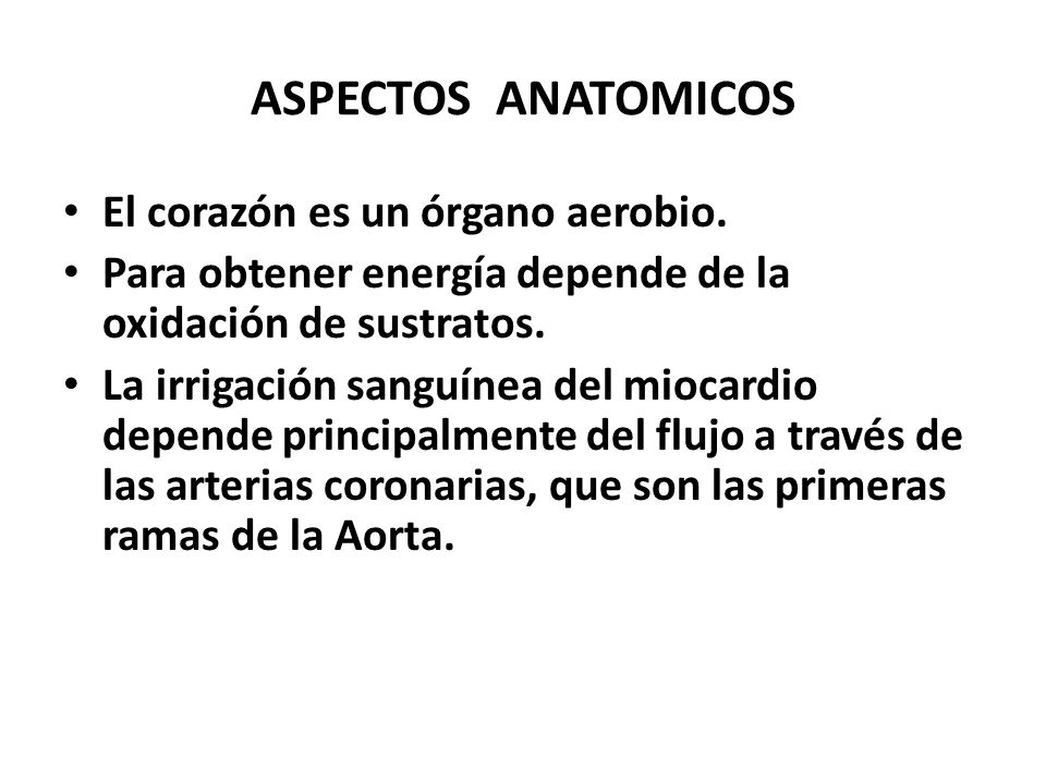 ASPECTOS ANATOMICOS El corazón es un órgano aerobio.