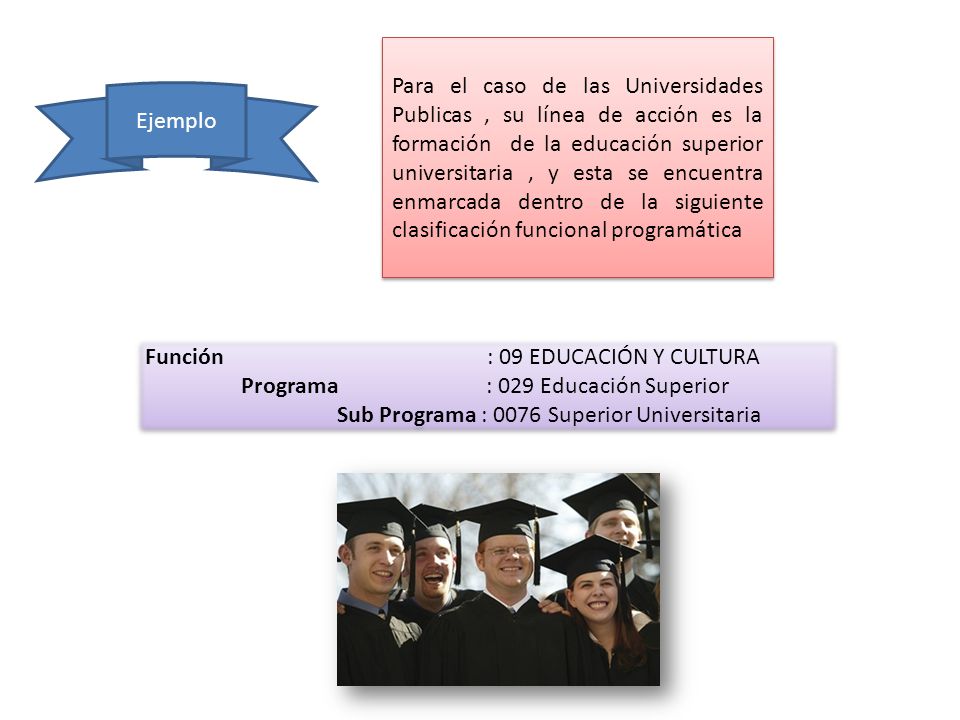 Para el caso de las Universidades Publicas , su línea de acción es la formación de la educación superior universitaria , y esta se encuentra enmarcada dentro de la siguiente clasificación funcional programática