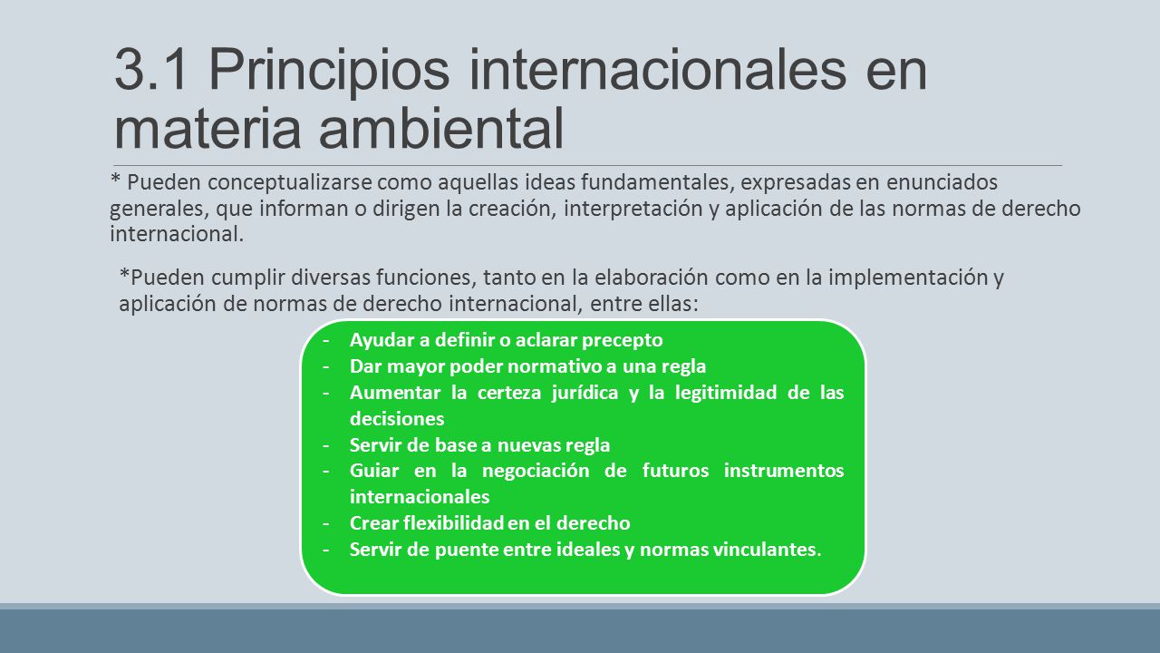 3.1 Principios internacionales en materia ambiental