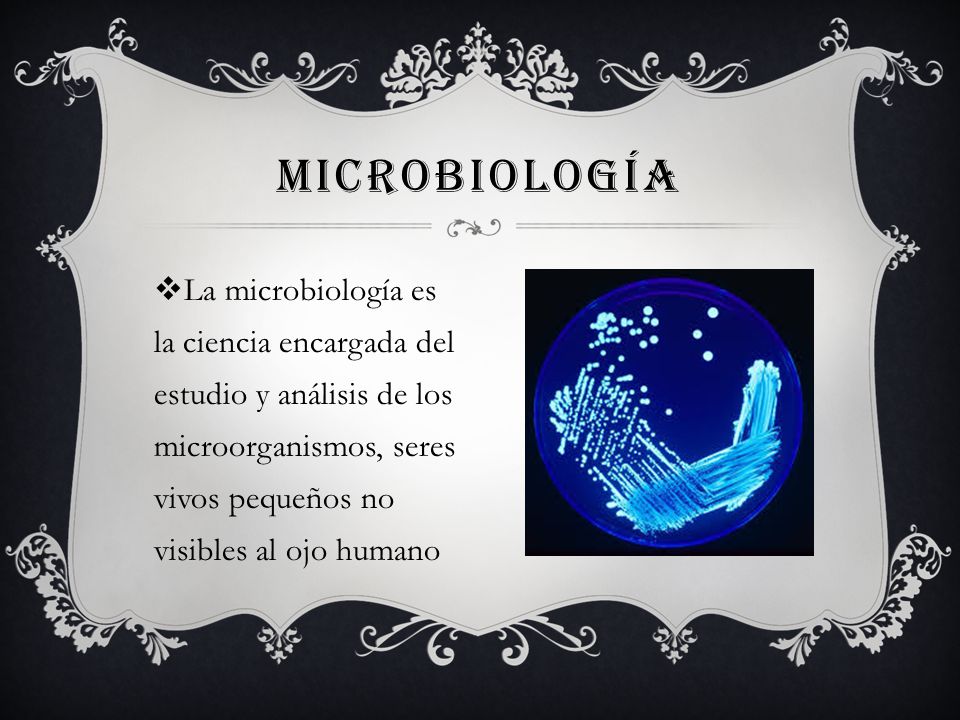 microbiología La microbiología es la ciencia encargada del estudio y análisis de los microorganismos, seres vivos pequeños no visibles al ojo humano.