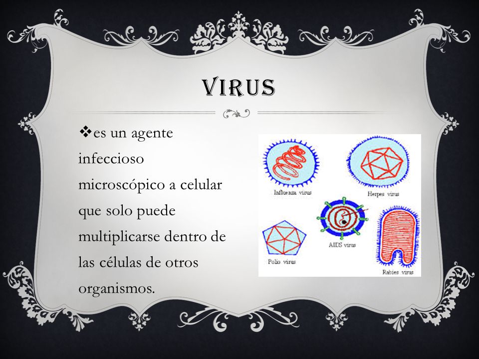 virus es un agente infeccioso microscópico a celular que solo puede multiplicarse dentro de las células de otros organismos.
