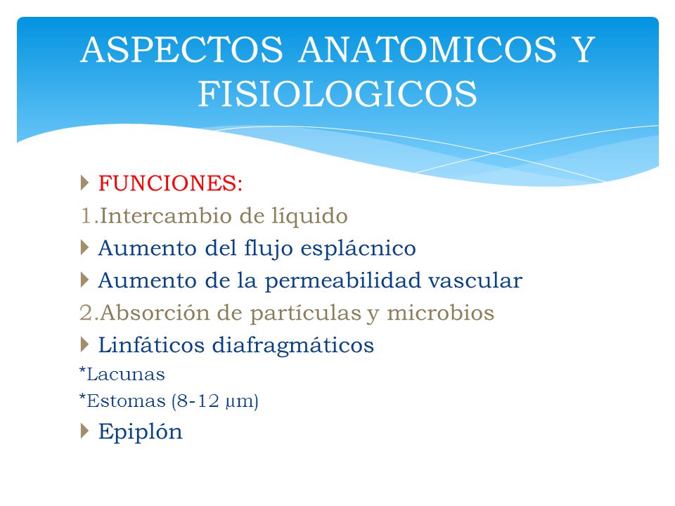 ASPECTOS ANATOMICOS Y FISIOLOGICOS